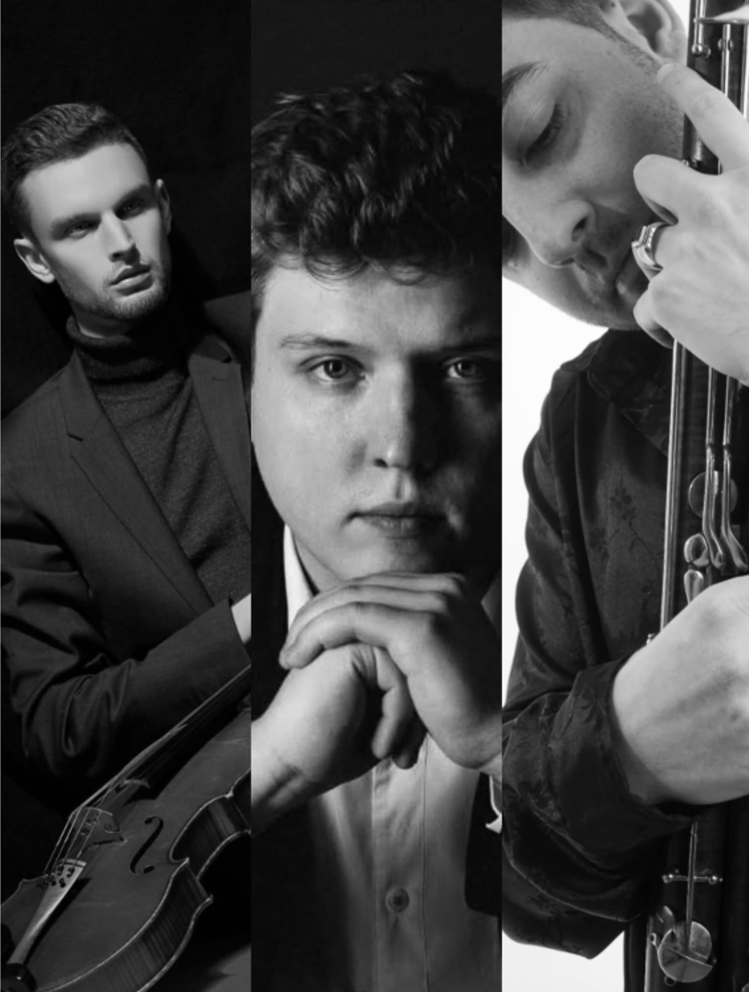 Clément Holvoet, Aleksey Shadrin, & Mavroudes Troullos, - alto, violoncelle et basson